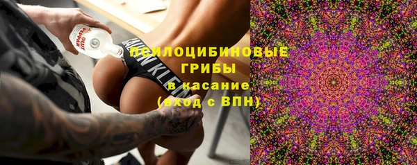 спиды Медногорск