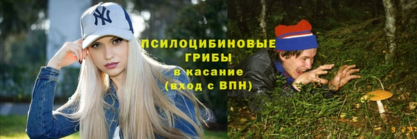 мет Богданович