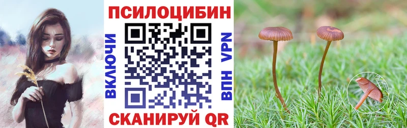 Псилоцибиновые грибы мицелий  где можно купить наркотик  Афипский 